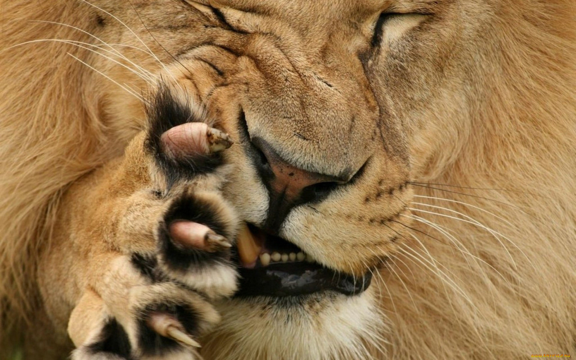 , , , , , 